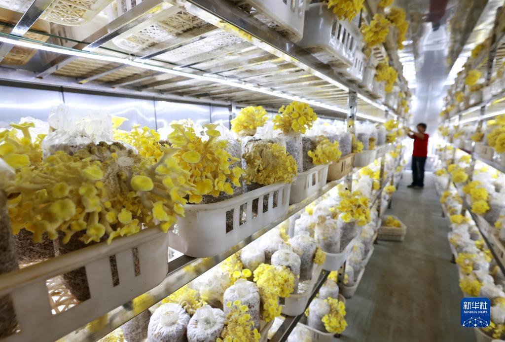 百家庄闲下注技术密决